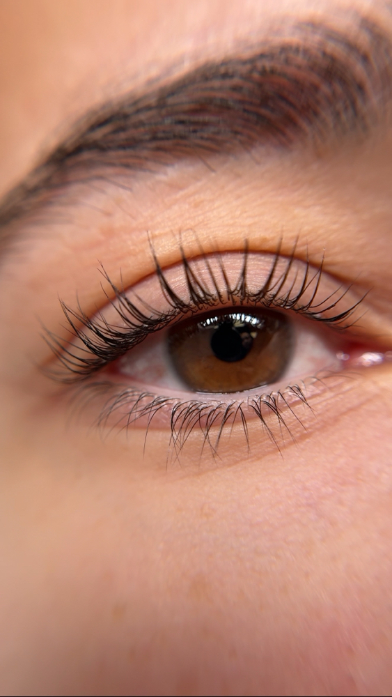 Korean Lash Lift + Tint