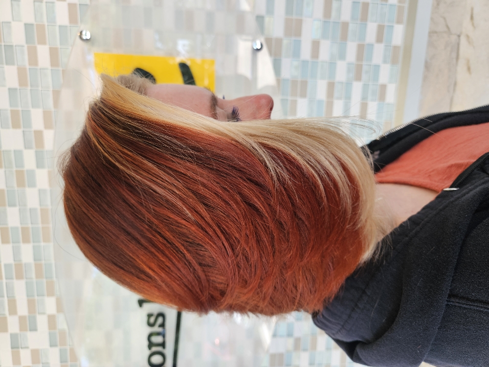 Color Block Highlights
