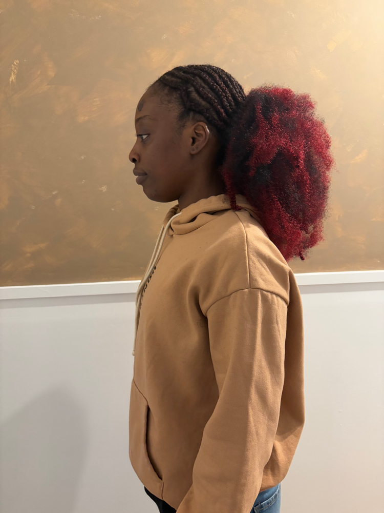 Braided Pull-Back