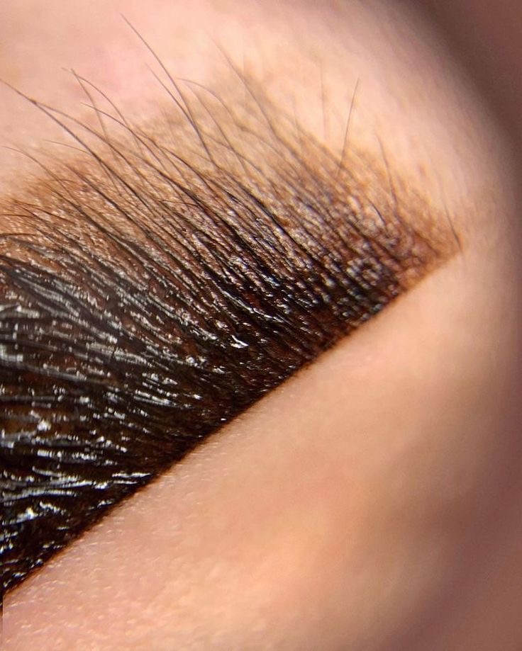 Brow Stain + Wax (Model Price)