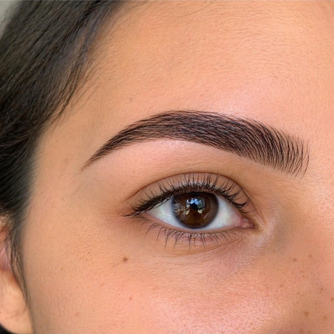 SIGNATURE Brow Tint & Shape at Jbuenolashskin in Simi Valley, CA