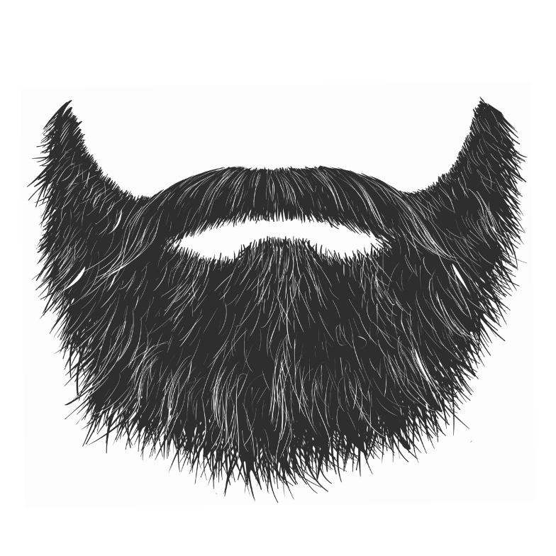 Beard Groom