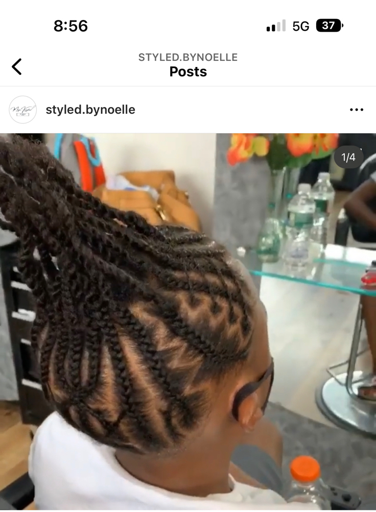 Natural Braids (free Stylecornrows)