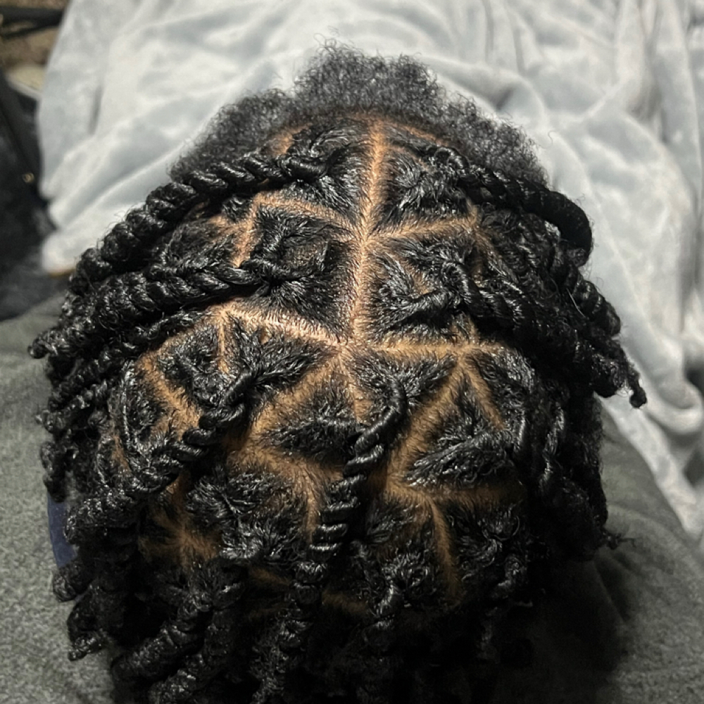 2 Strand Twist Starter Locs at NaturalbyJas Studio in Concord, NC