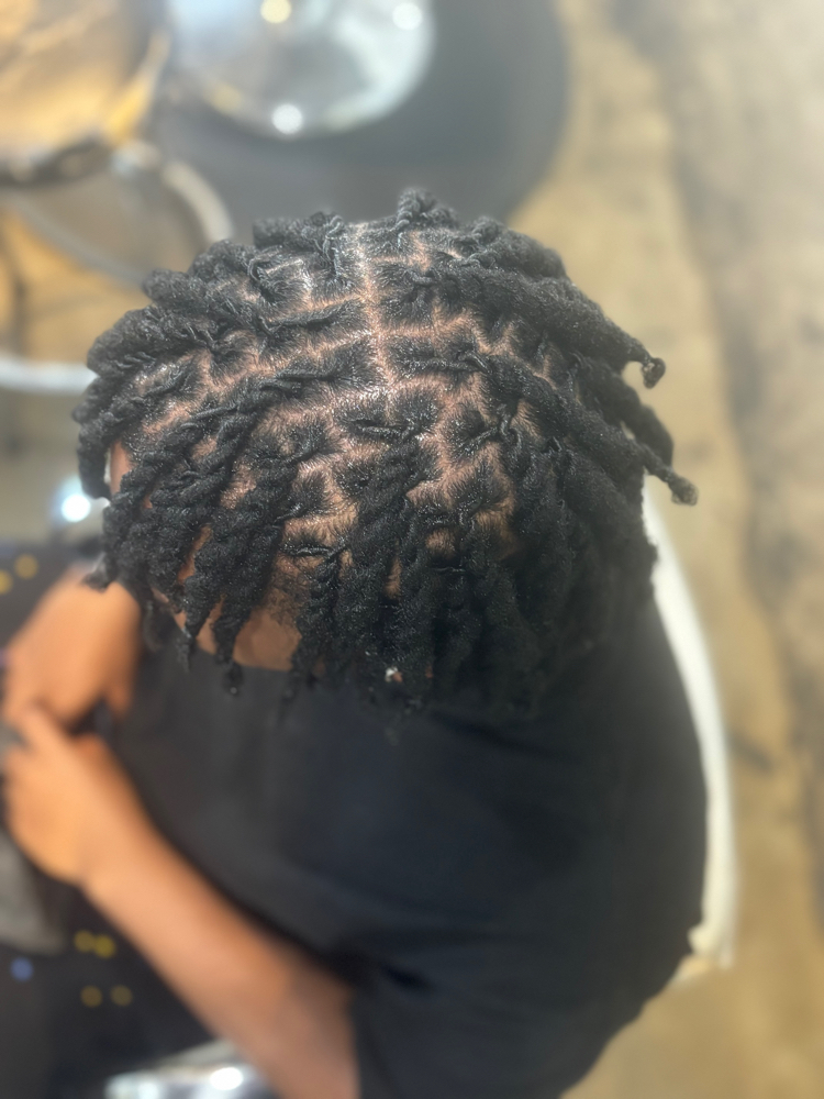 Two Strand Twist