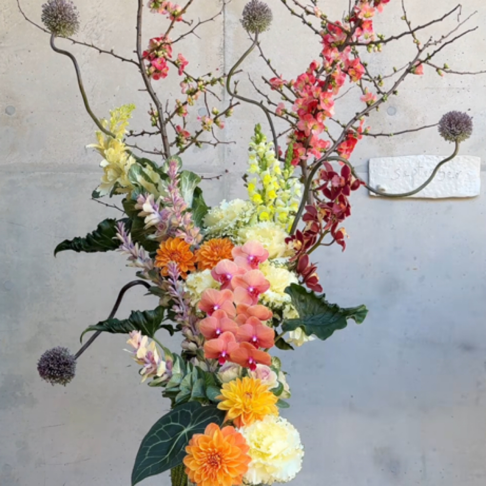 Beard, Neck Trim, Eyebrow Shaping