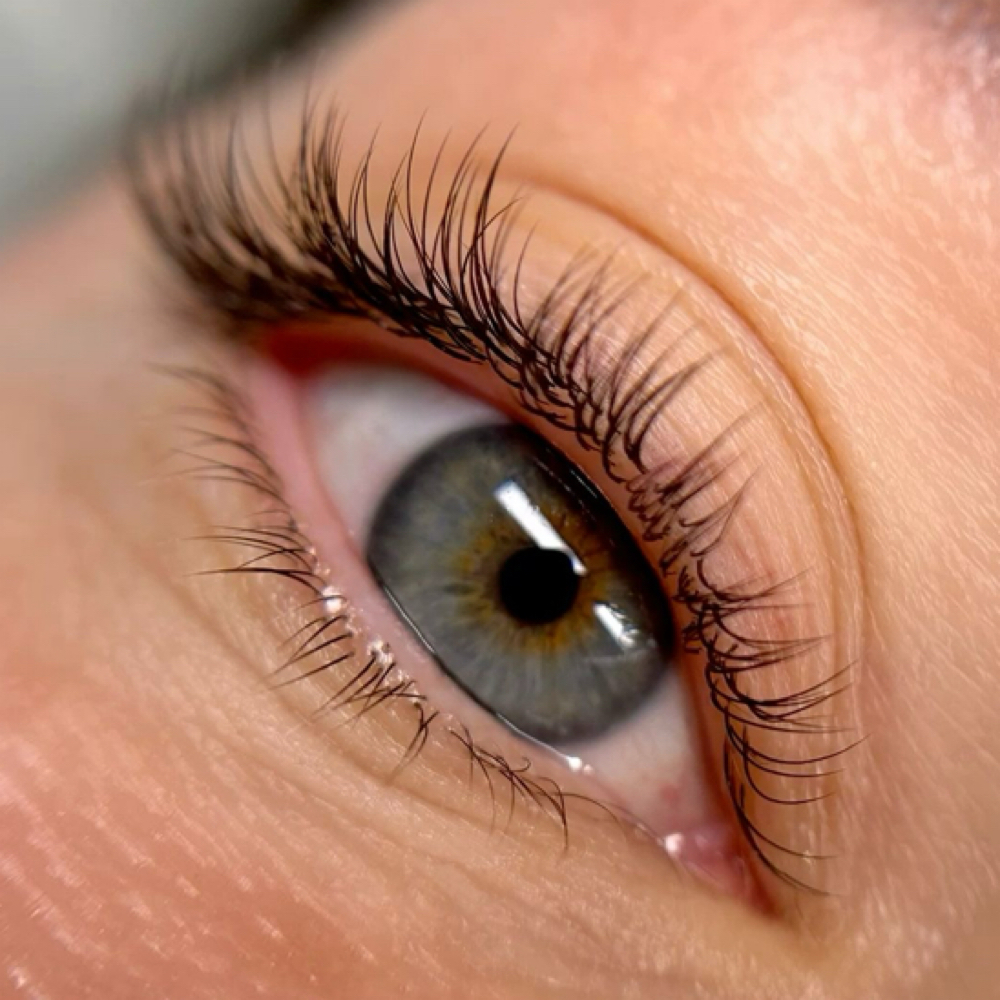 Classic Set (Beginner Artist) at Lu Lash Salon in Fort Lauderdale, FL