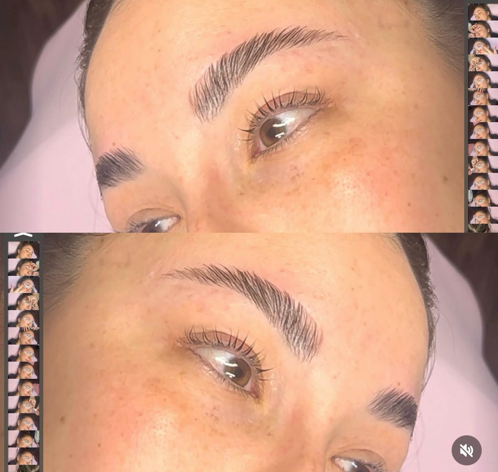 Eyebrow Bundle at Princess Treatment Esthetics in Denver, CO