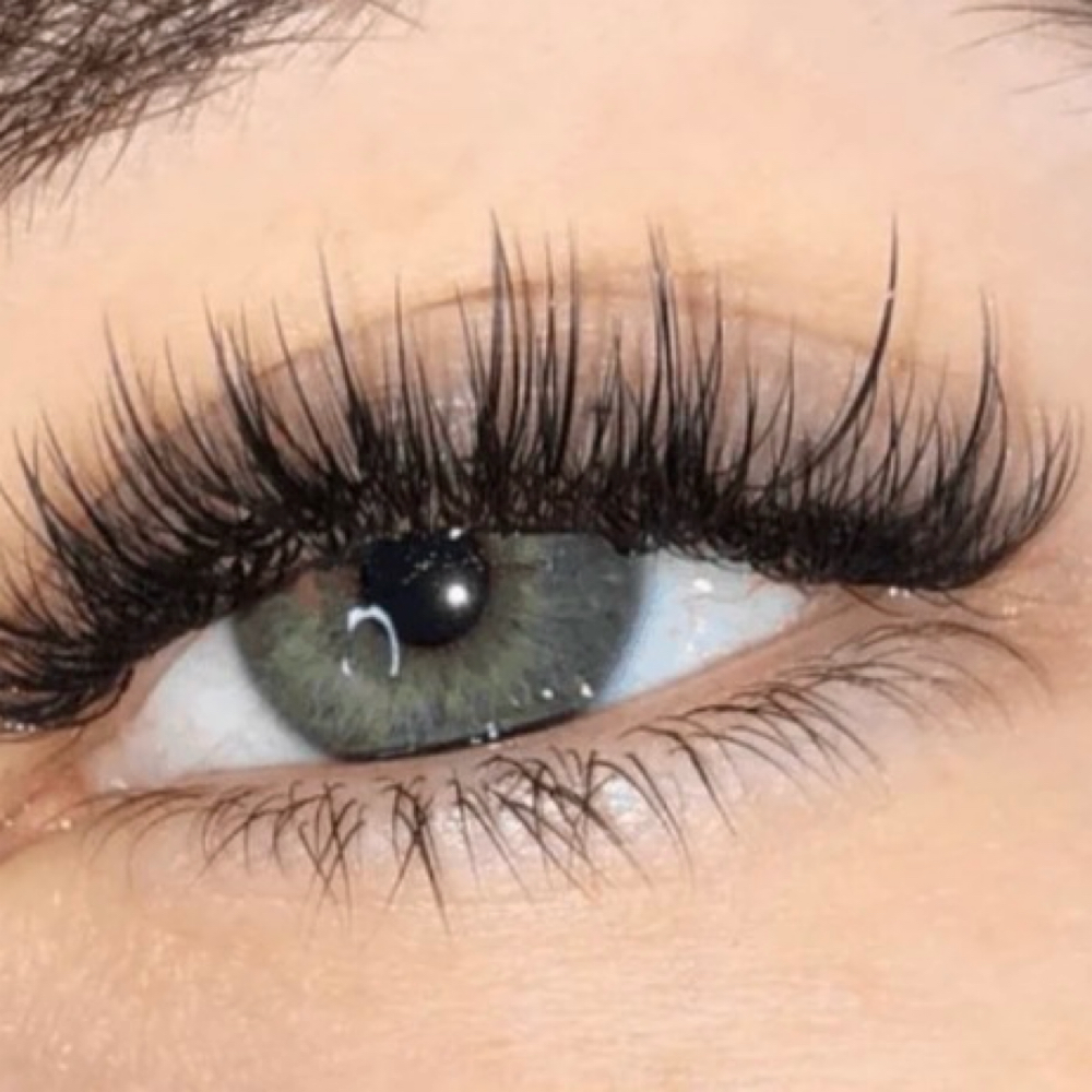 Hybrid Lash Fill at Beauty central Fw in Fort Worth, TX