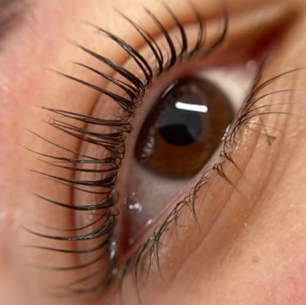 Lash Lift no Tint at The Beauty Gossip at V2 Beauty in Fresno, CA