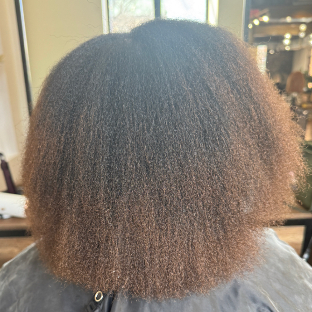 Shampoo + Blow-dry at The Creation Station in Alexandria, VA