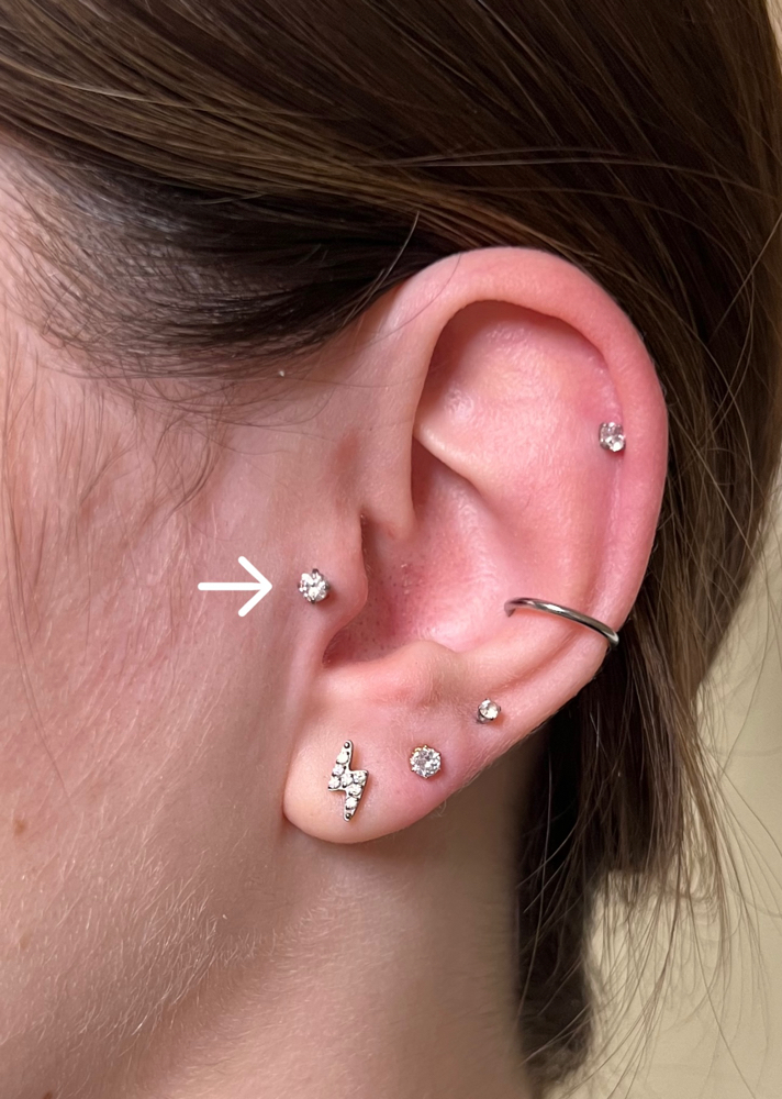 Tragus at Princesaa Piercings x Aesthetics in Chandler, AZ