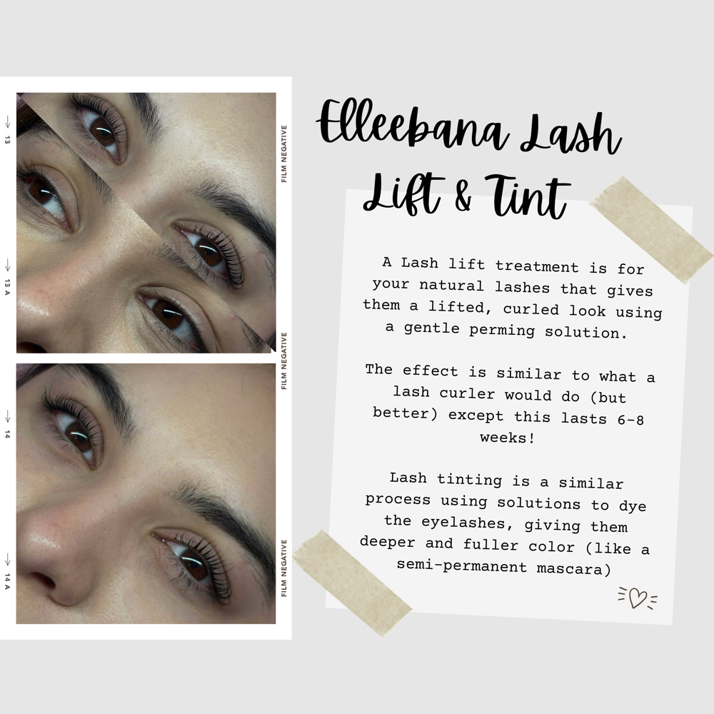 Elleebana Lash Lift + Tint (Alex) at The Haven Beauty Co. in Flat Rock, MI