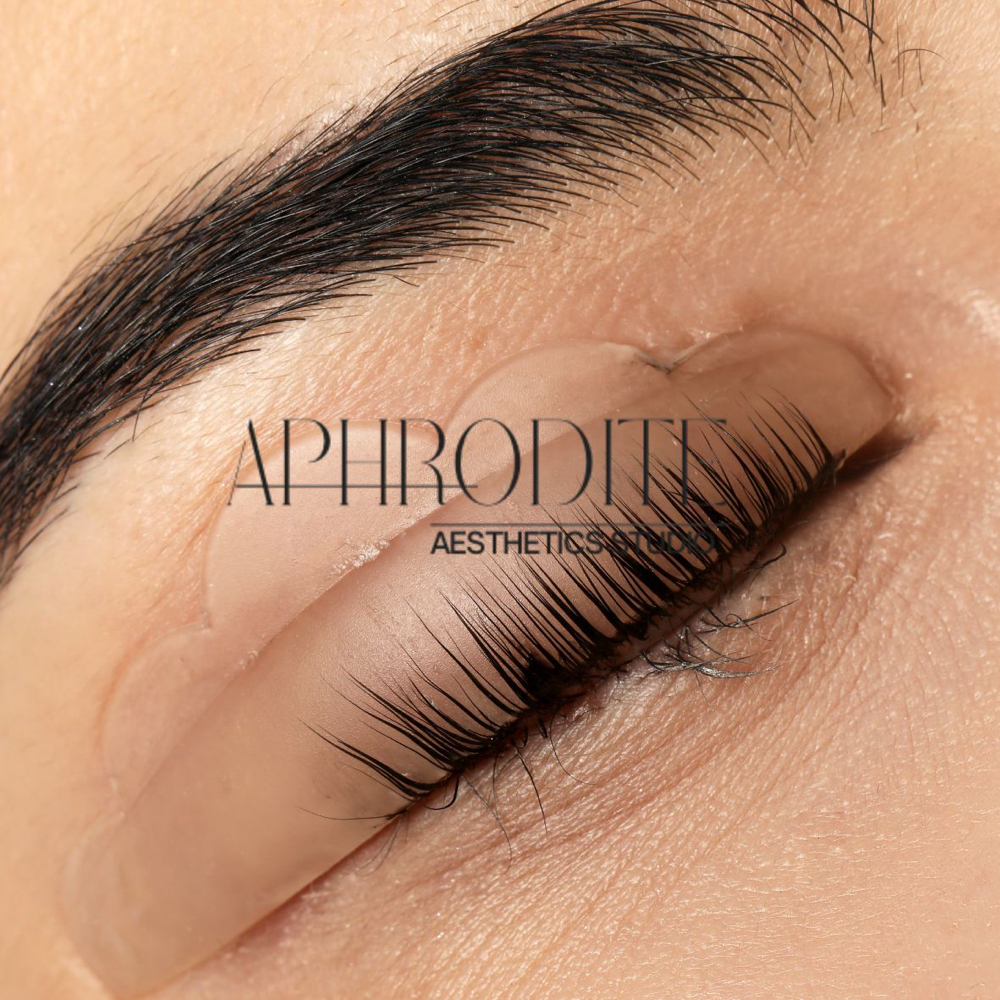 Lash Lift & Tint at Aphrodite Aesthetics Studio in Brandon, FL