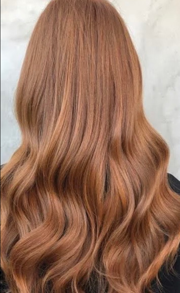 All Over Color And Haircut at Brilliance Salon & Day Spa in Gresham, OR