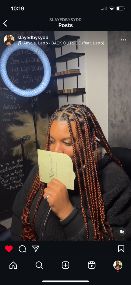 Medium Braids (average Length)