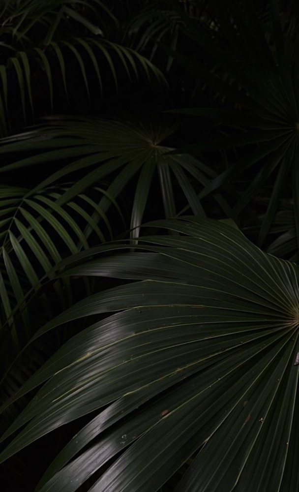 Volume Fill (2-3 Weeks) at Lashedbyliyahh in Kent, WA