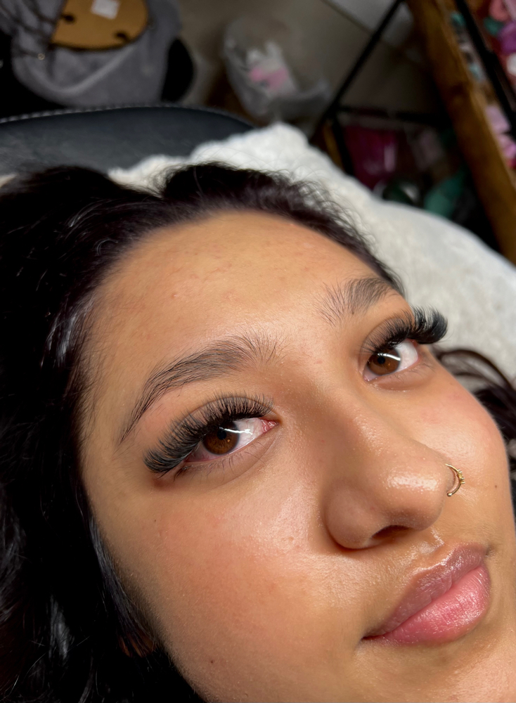 Volume Lash Fill In
