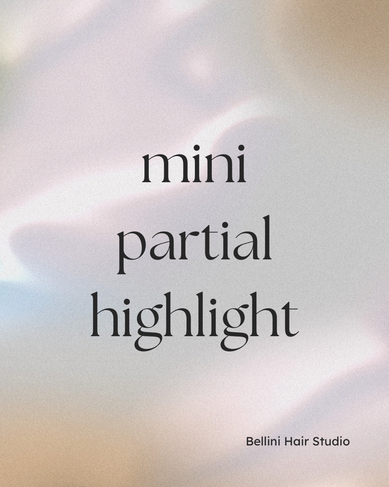 Mini Partial Highlight