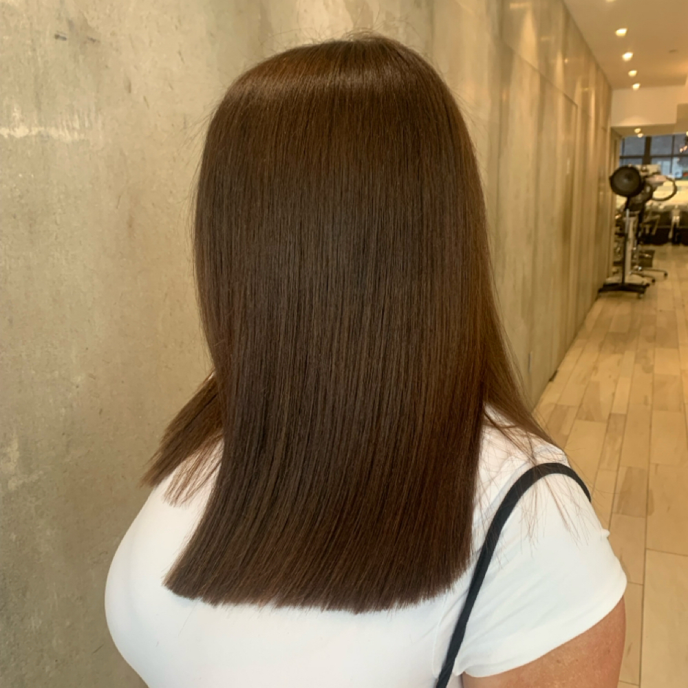 Extensions at Alan Freitas in Northampton, MA