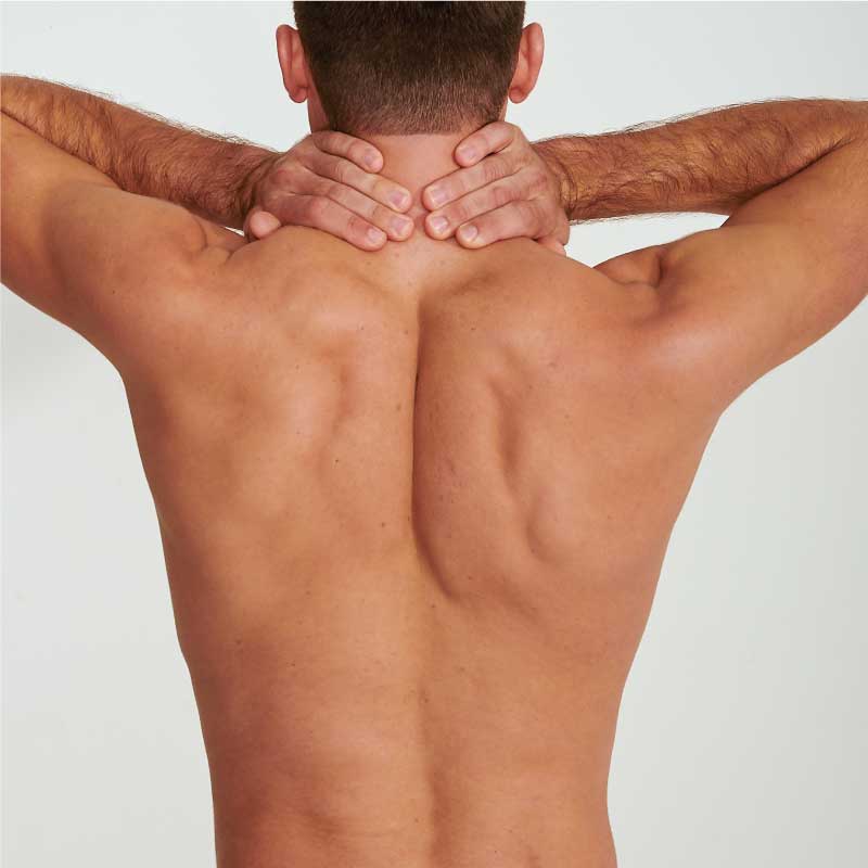 Male Back