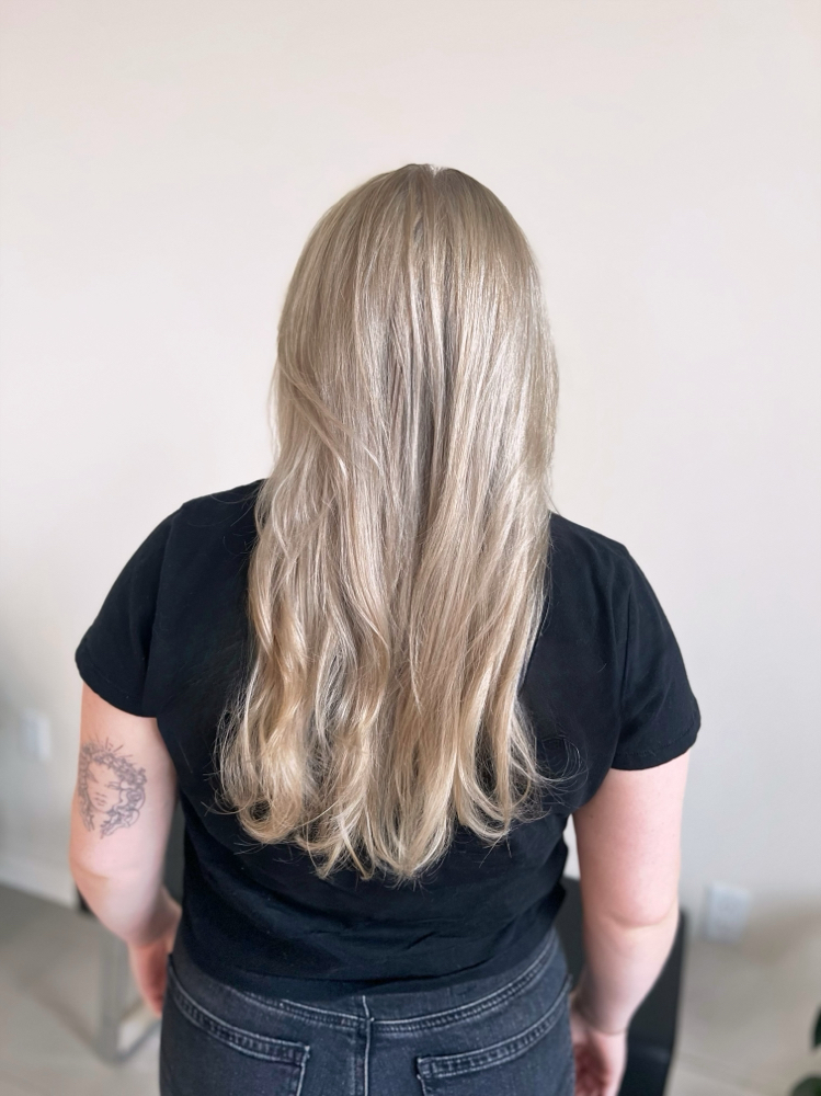 Baby Lights - Maximum Blonding at Venomous Hair in Colorado Springs, CO