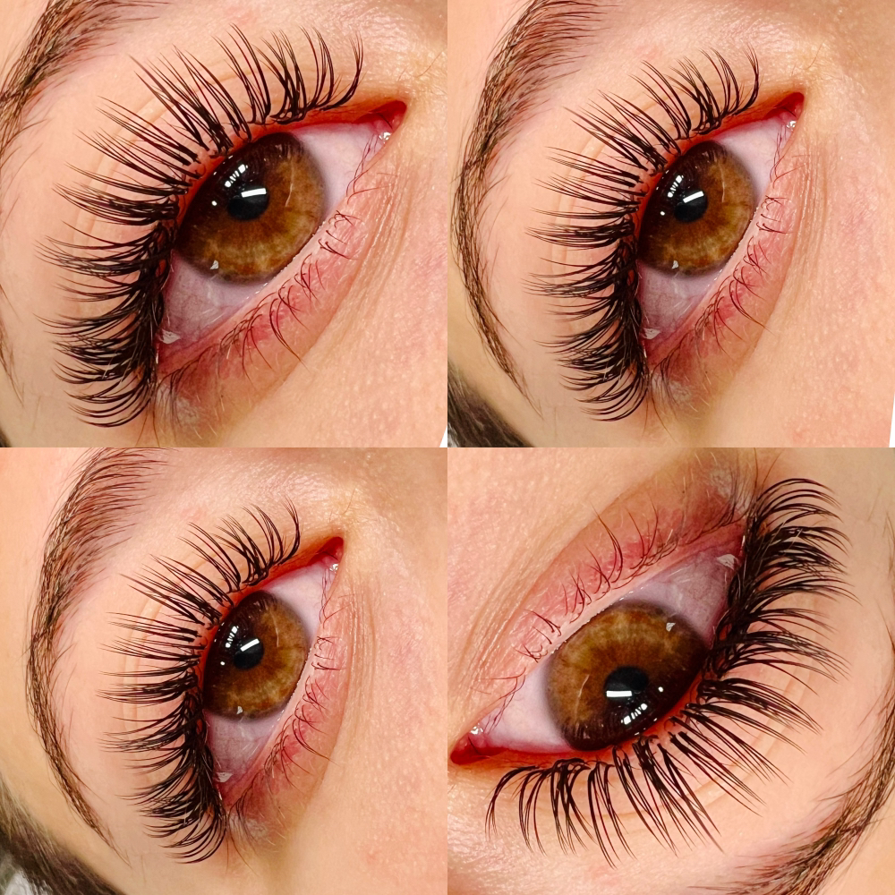 Classic 2D Refill 2 Week (14-17day)