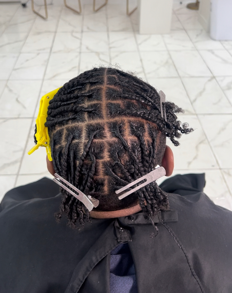 Medium Two Strand Starter Locs