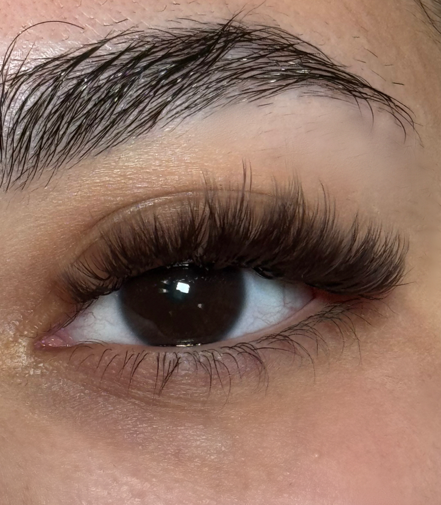 Brown Lash Fill ( Whispy)
