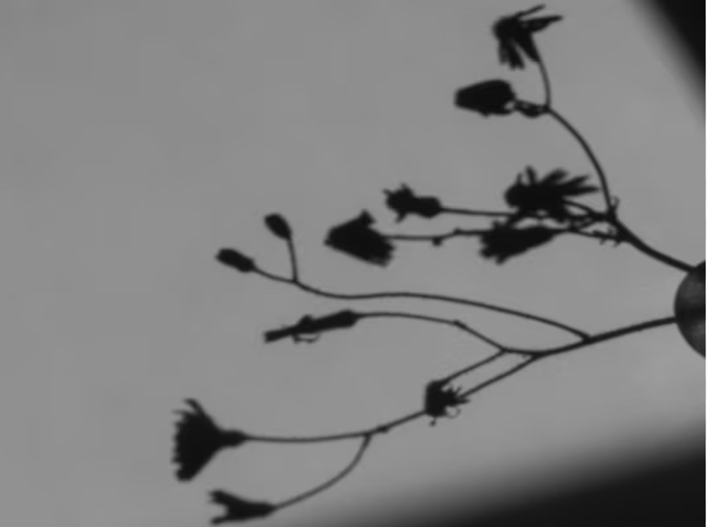 Balayage & Dimensional Blonding