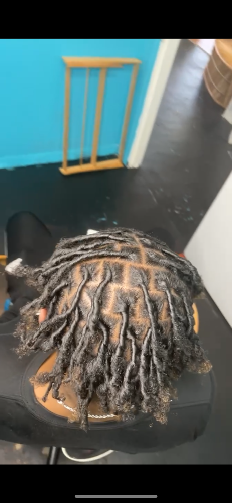 Starter Locs