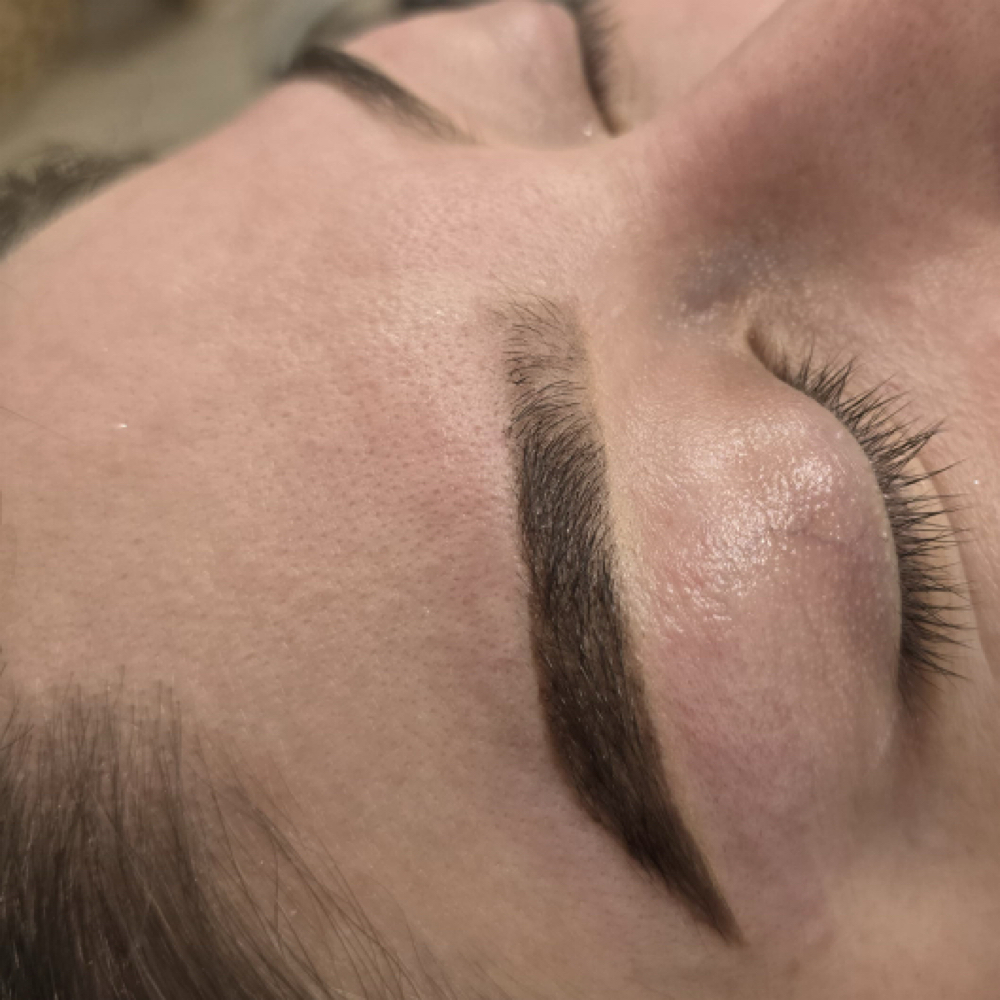 Hybrid Brows (Wax & Tint) at Metzli Nail Bar & Spa in Temple, PA