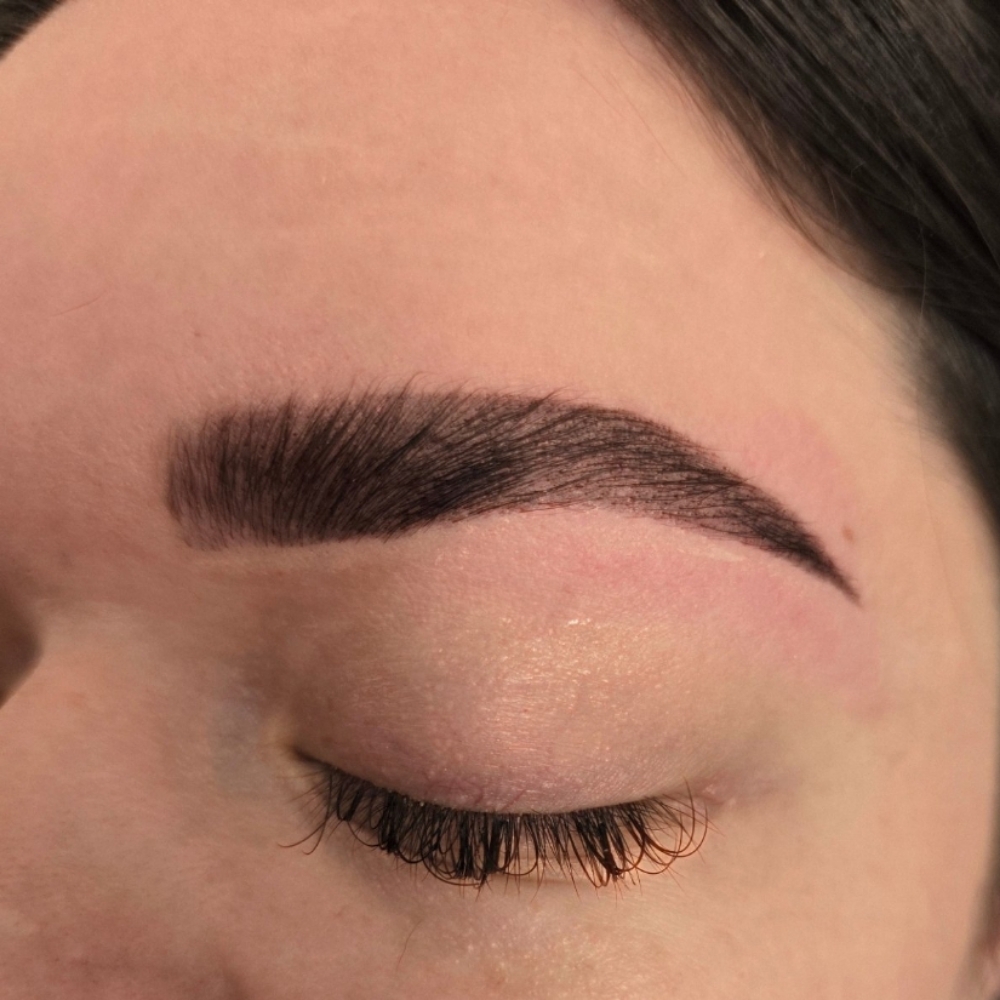 Hybrid Brows (Wax & Tint)Nancy at Metzli Nail Bar & Spa in Temple, PA