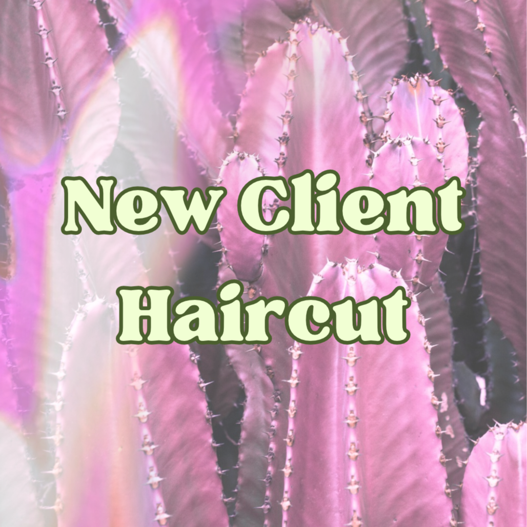 New Client Haircut at Hailey Kay Hair in Minneapolis, MN