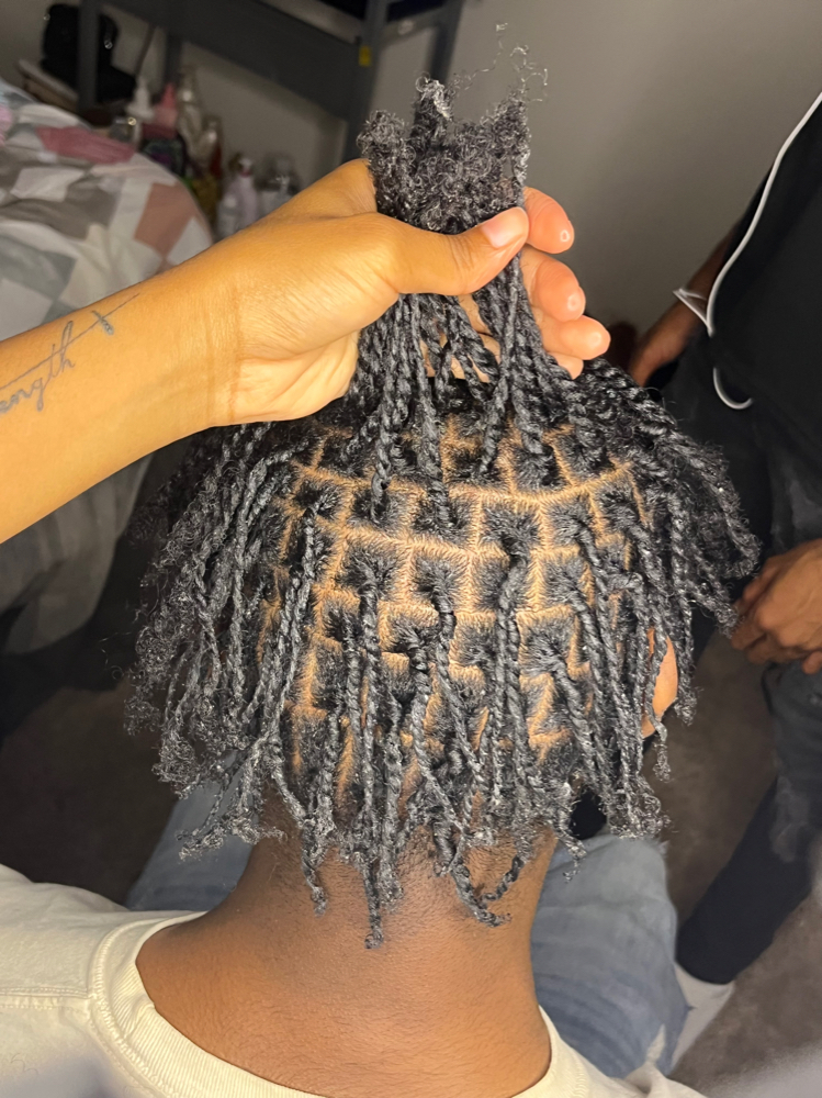 Starter Locs