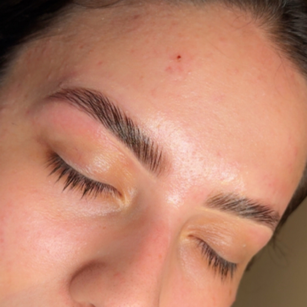 Brow Lamination + Tint + Wax at Haus of Pretty and Pampered in Odessa, TX