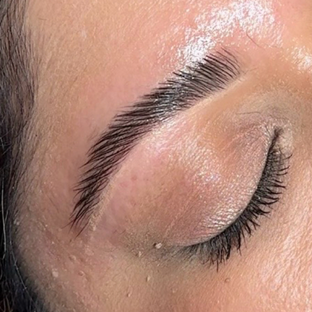 Brow Lamination + Tint + Wax at Haus of Pretty and Pampered in Odessa, TX