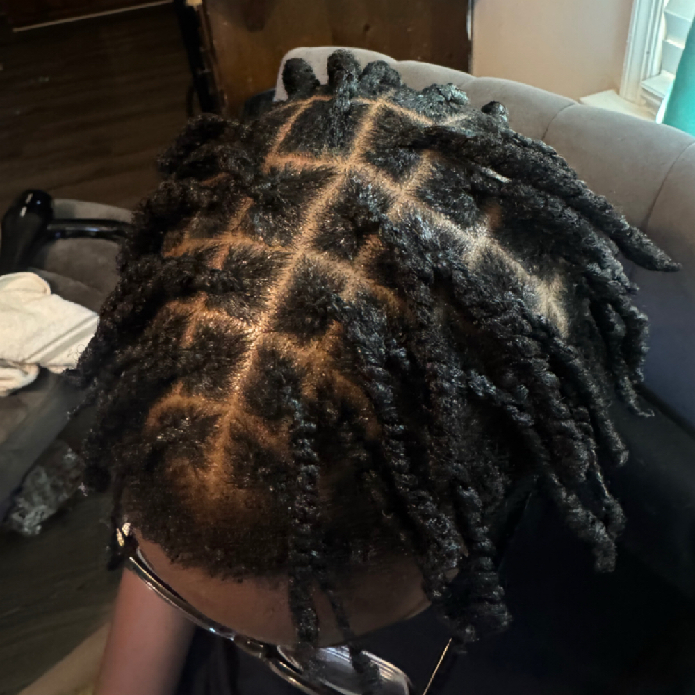 Braids/ twist at d3stylez in North Chesterfield, VA