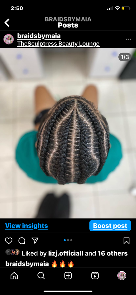 4 Stitch Braids