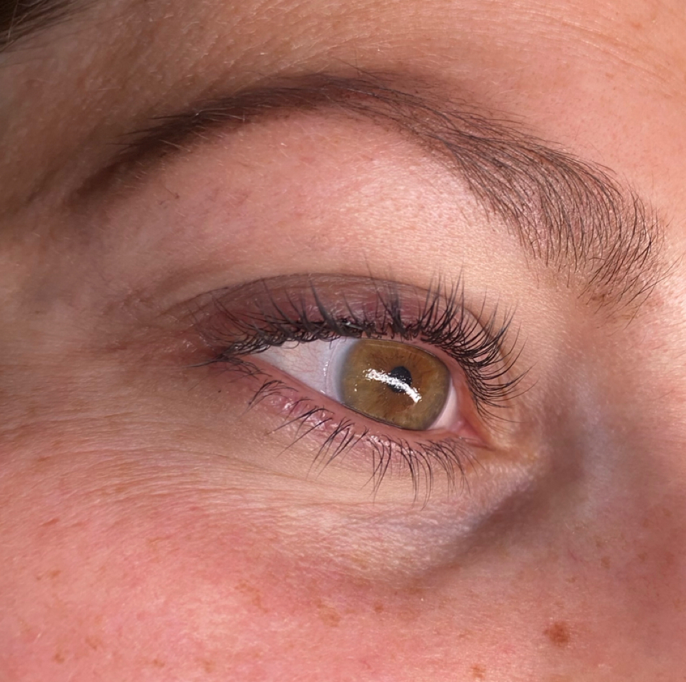 BROW ✏️ & WAX Special at Face First by Tam in Pembroke, MA