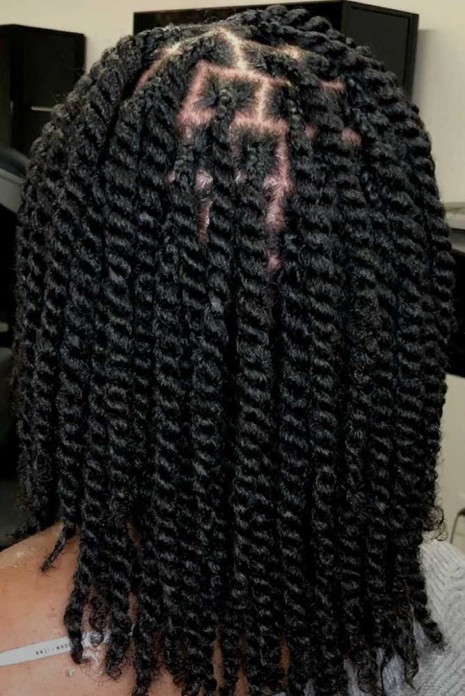 Two Strand Twist