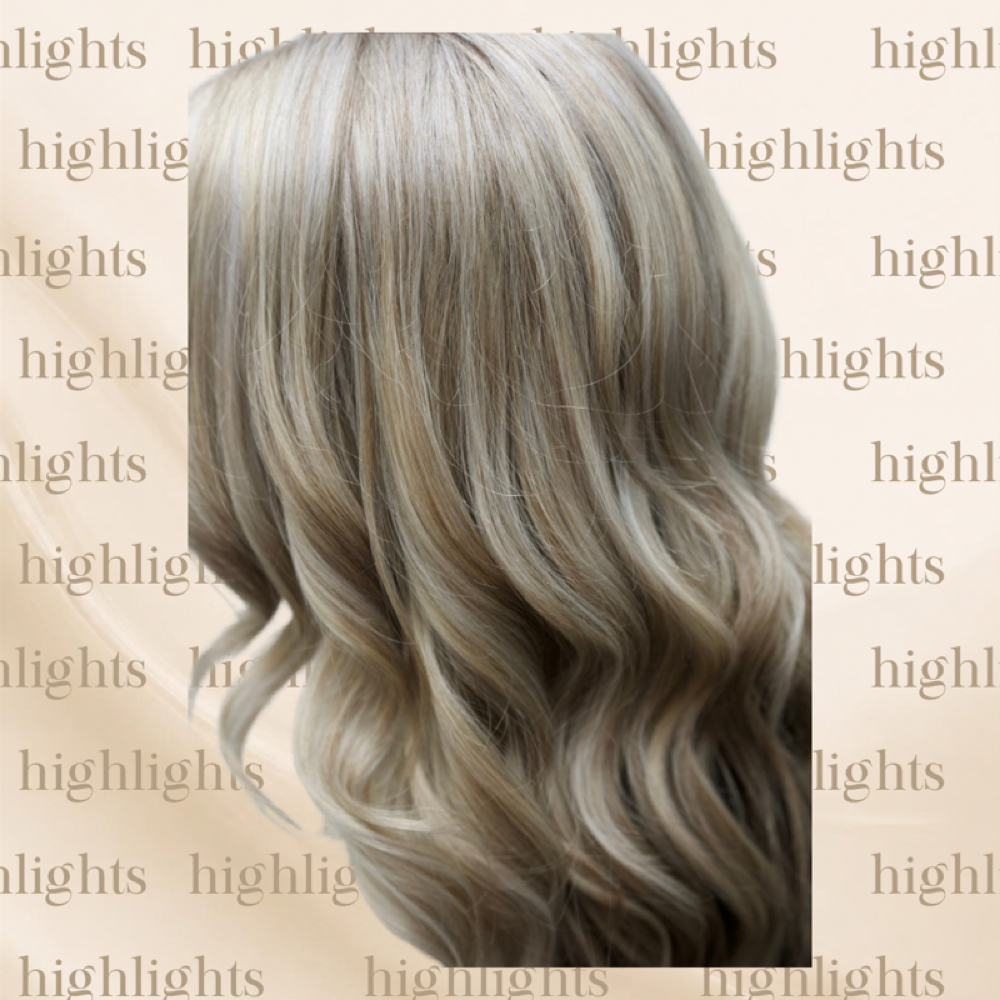 Full Highlight at The Mane Chair By Jenna Rae in Gainesville, FL