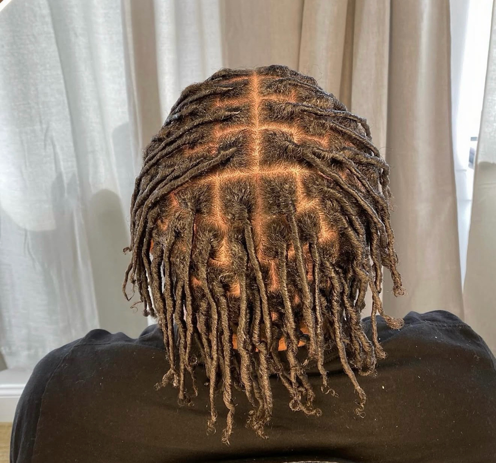 Starter Locs