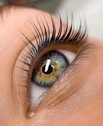 Keratin Lash Lift & Tint
