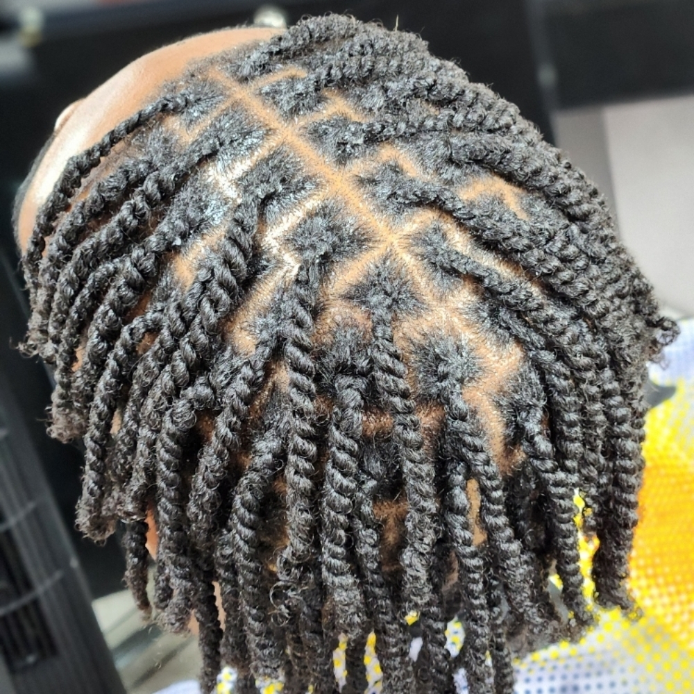Natural Twist at MaryamuAfricanbraids in Newark, NJ