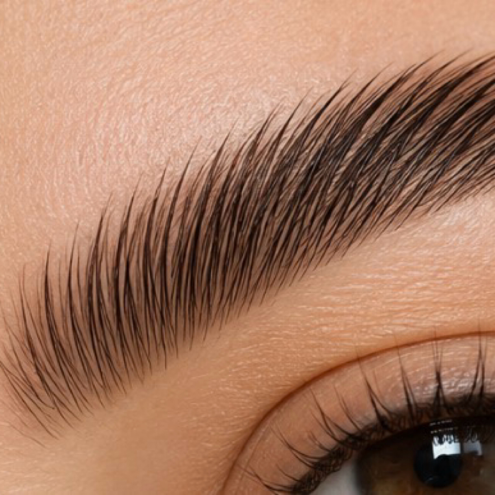 Brow Lamination at THELUXSTUDIO in Bunnell, FL