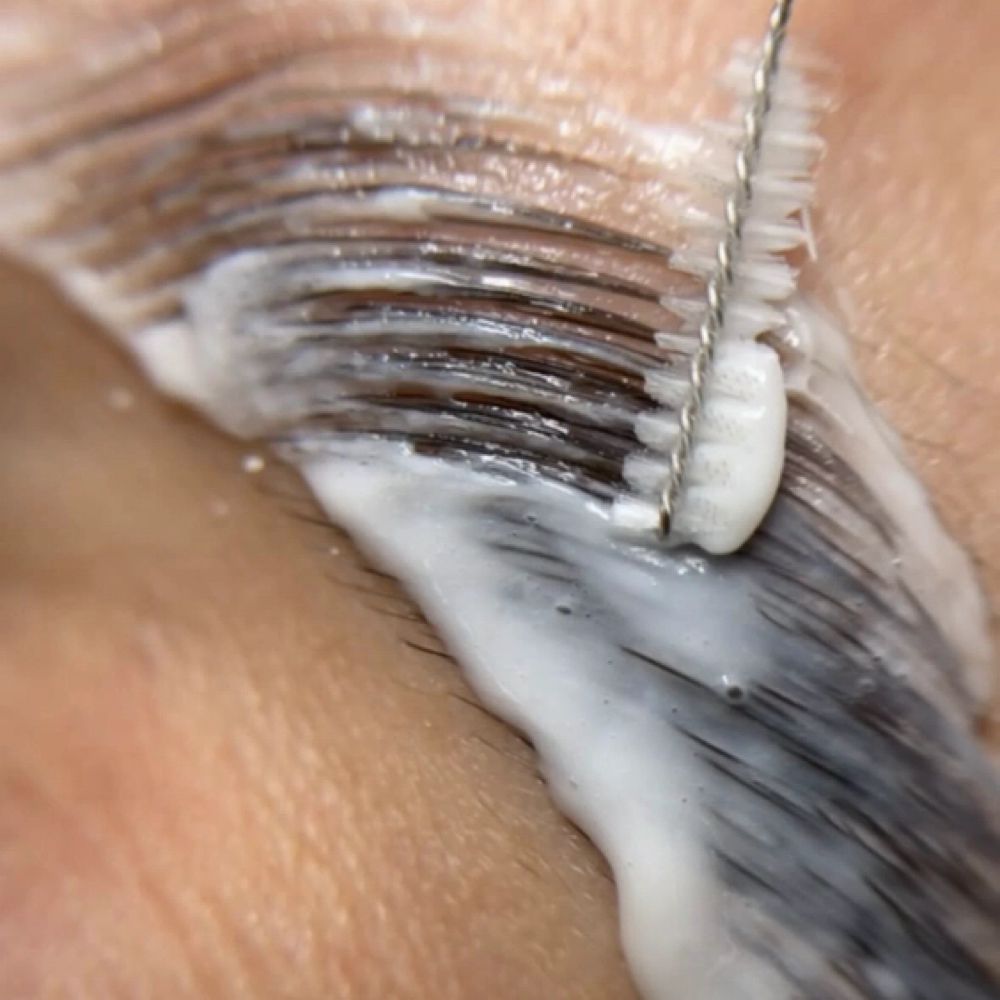 Brow Lamination at Bare Studio in Tucson, AZ