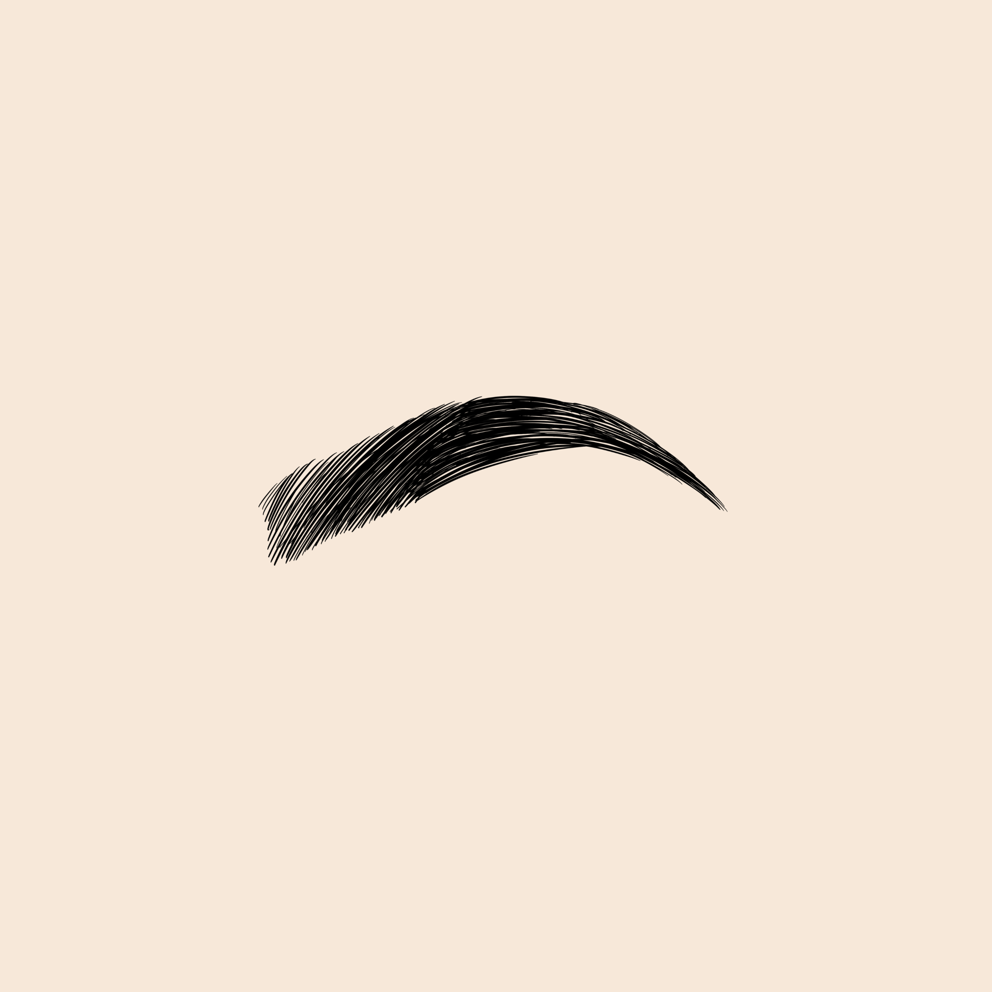 Brow Wax & Tint at On Third Beauty in Canton, OH