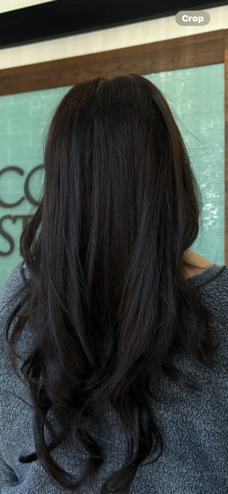 Root Touchup With Gloss