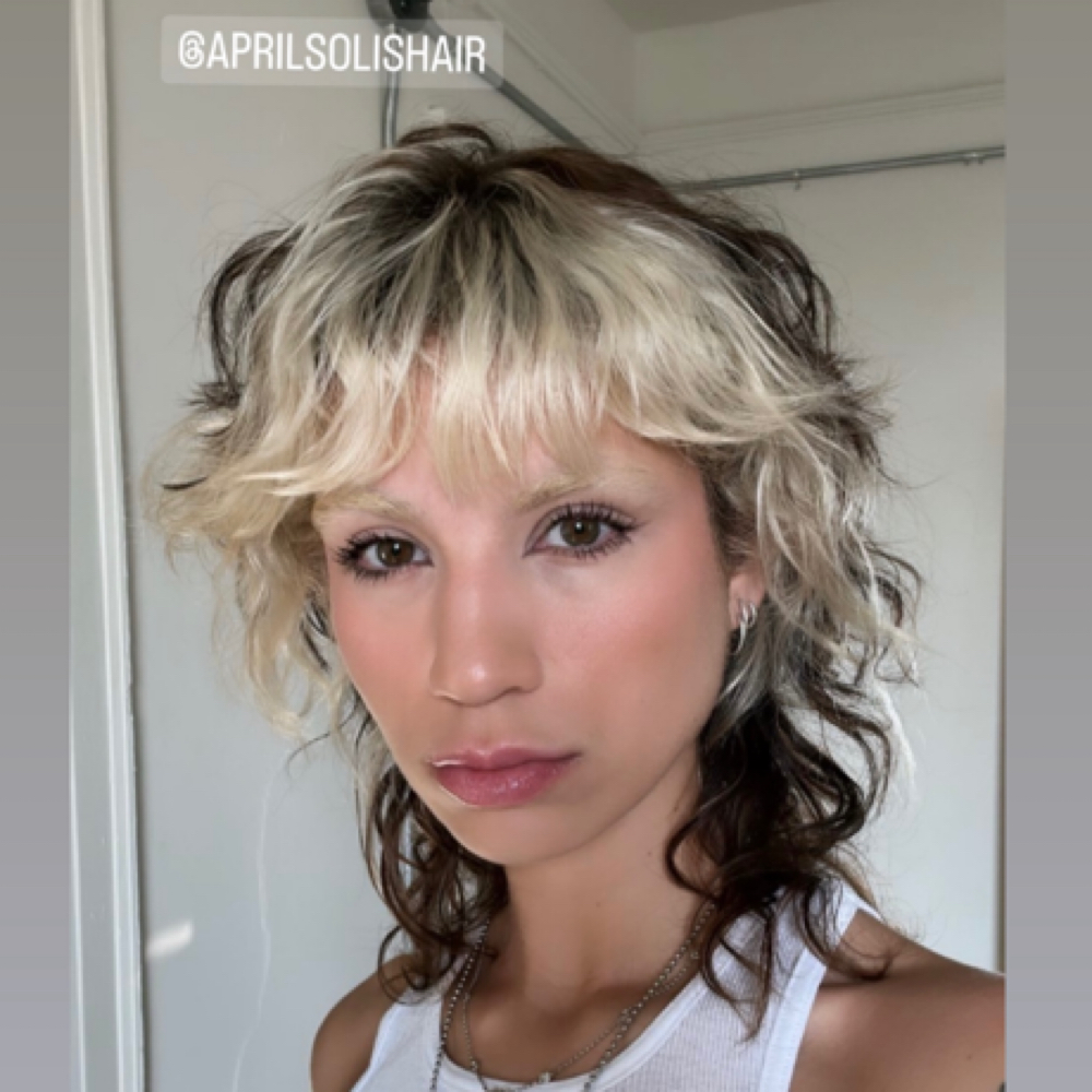 COLOR/NO HAIRCUT/WITH BLOW DRY at APRIL SOLIS HAIR L.L.C in Detroit, MI